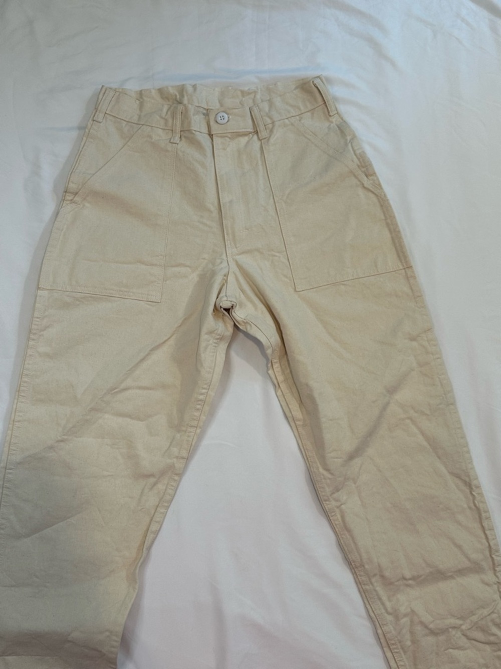 Stan Ray Painters Pants 31